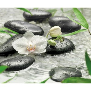 Komar Fototapete Vlies Pure (300x250 cm) mit Orchidee, Bambus und Steinen im Wasser.