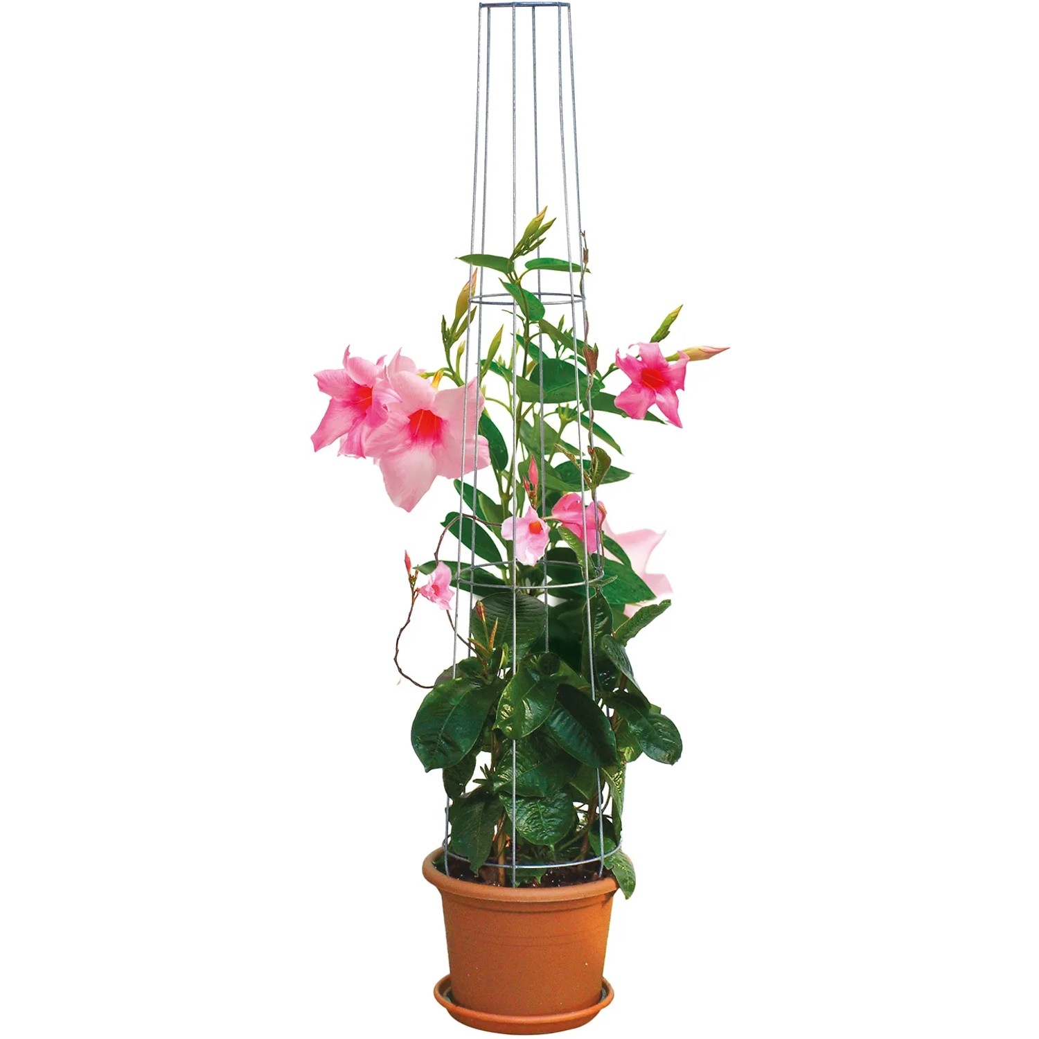 Bellissa Ranksäule, kegelförmig, 130 cm, verzinkt, mit blühender Kletterpflanze im Topf.