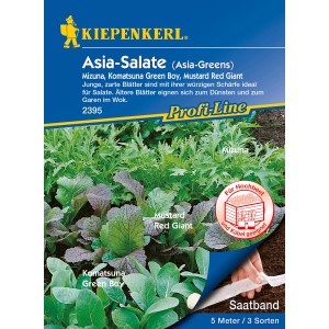 Kiepenkerl Asia-Salate: Mizuna, Komatsuna, Mustard Saatband mit verschiedenen Blattsalaten.