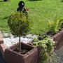 Braunes Gartenmauer Pfeilerelement aus Beton, strukturiert, für Pfeilerbau.