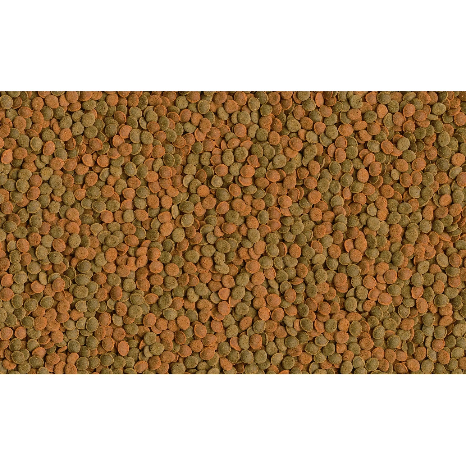 Tetra Selection Fischfutter-Granulat, 250ml Dose mit verschiedenen Futtersorten für Zierfische.