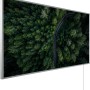 Könighaus Infrarotheizung mit Waldstraßen-Motiv, 50x90 cm, 450W. Elektrische Heizung mit HD-Druck.