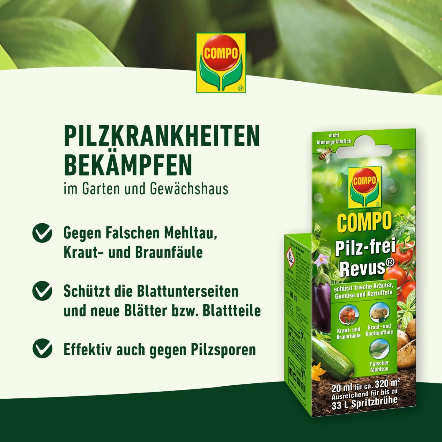 saatgut geschenkbox Bio-Saatgut Abobox 'Gartengemüse'