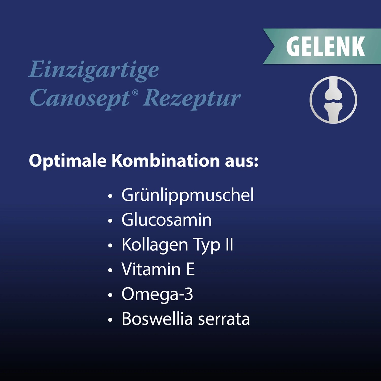 Canosept Gelenk Tabletten für Hunde: Ergänzungsfutter mit Grünlippmuschel, Glucosamin, Kollagen und Omega-3 für gesunde Gelenke.