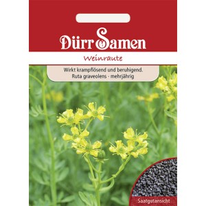 Dürr Samen Weinraute: Saatgut-Packung mit gelben Blüten und Saatgut-Ansicht.