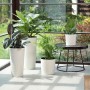 Weiße Siena Garden Blumentöpfe 'Modern Lens' mit Rillenstruktur und verschiedenen Pflanzen.