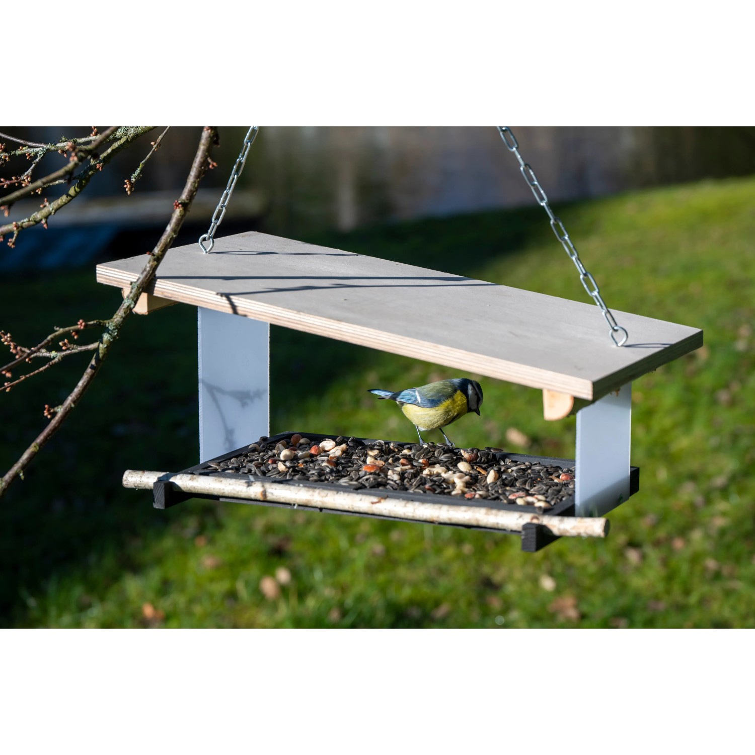 Dobar Vogelfutterhaus Futura II mit Futterstation und Blaumeise im Garten.