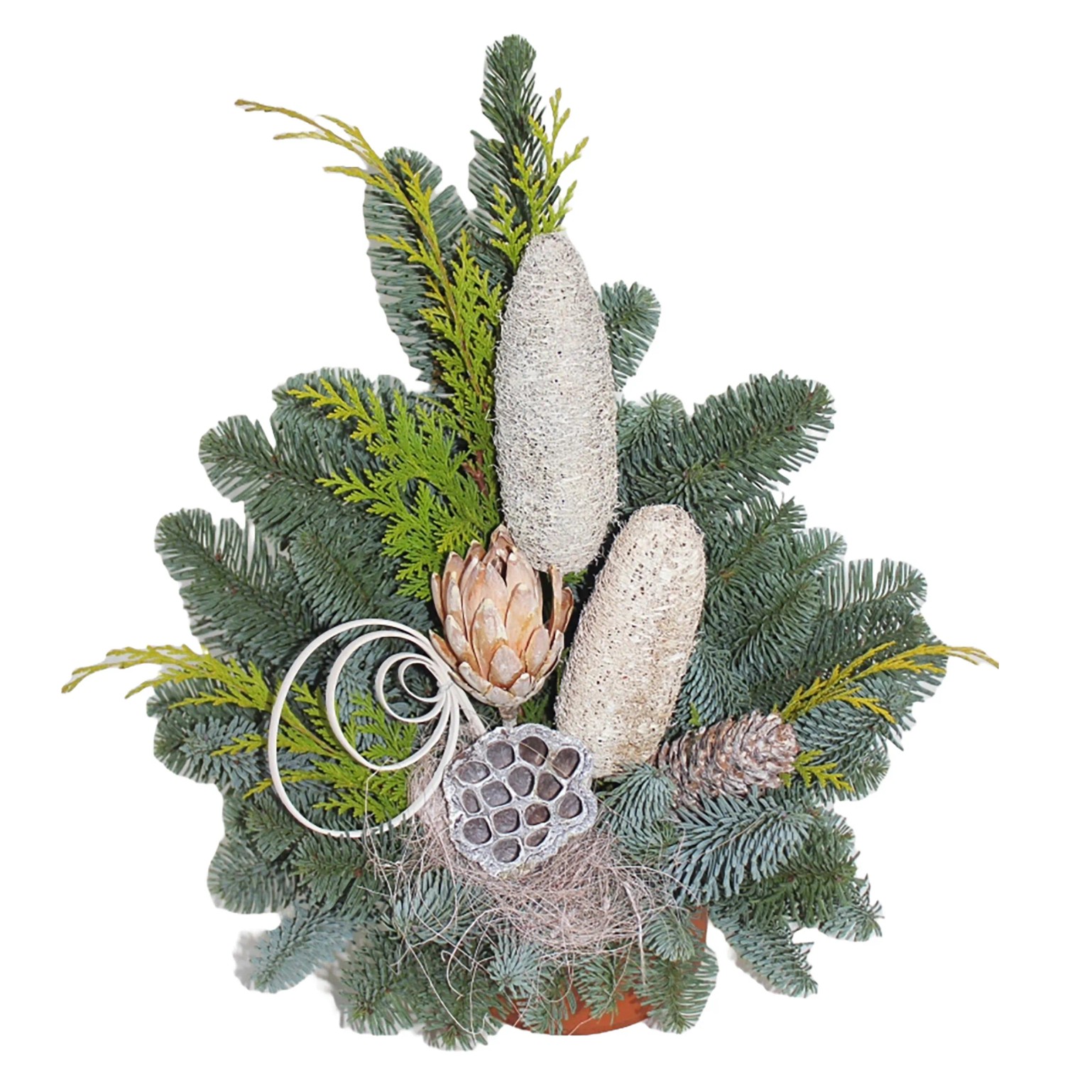 Grabschale Nobilis Topf Ø 15 cm Natur