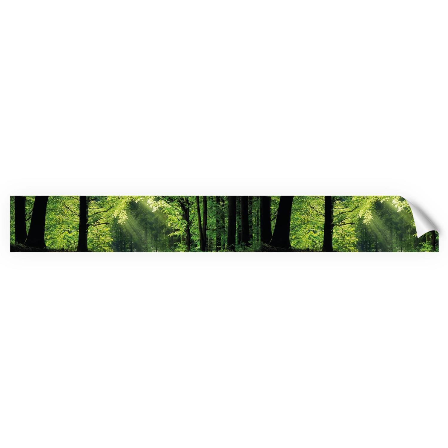 Myspotti Küchenrückwandfolie Sommerwald Selbstklebend 450 cm x 60 cm
