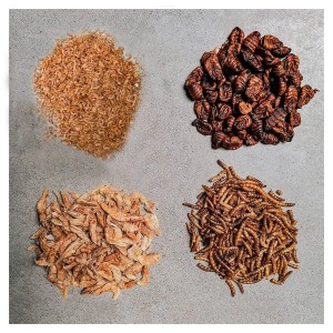 Insektus Koifutter Mix: Seidenraupen, Gammarus, Mehlwürmer, Garnelen. Naturfutter für Teichfische.