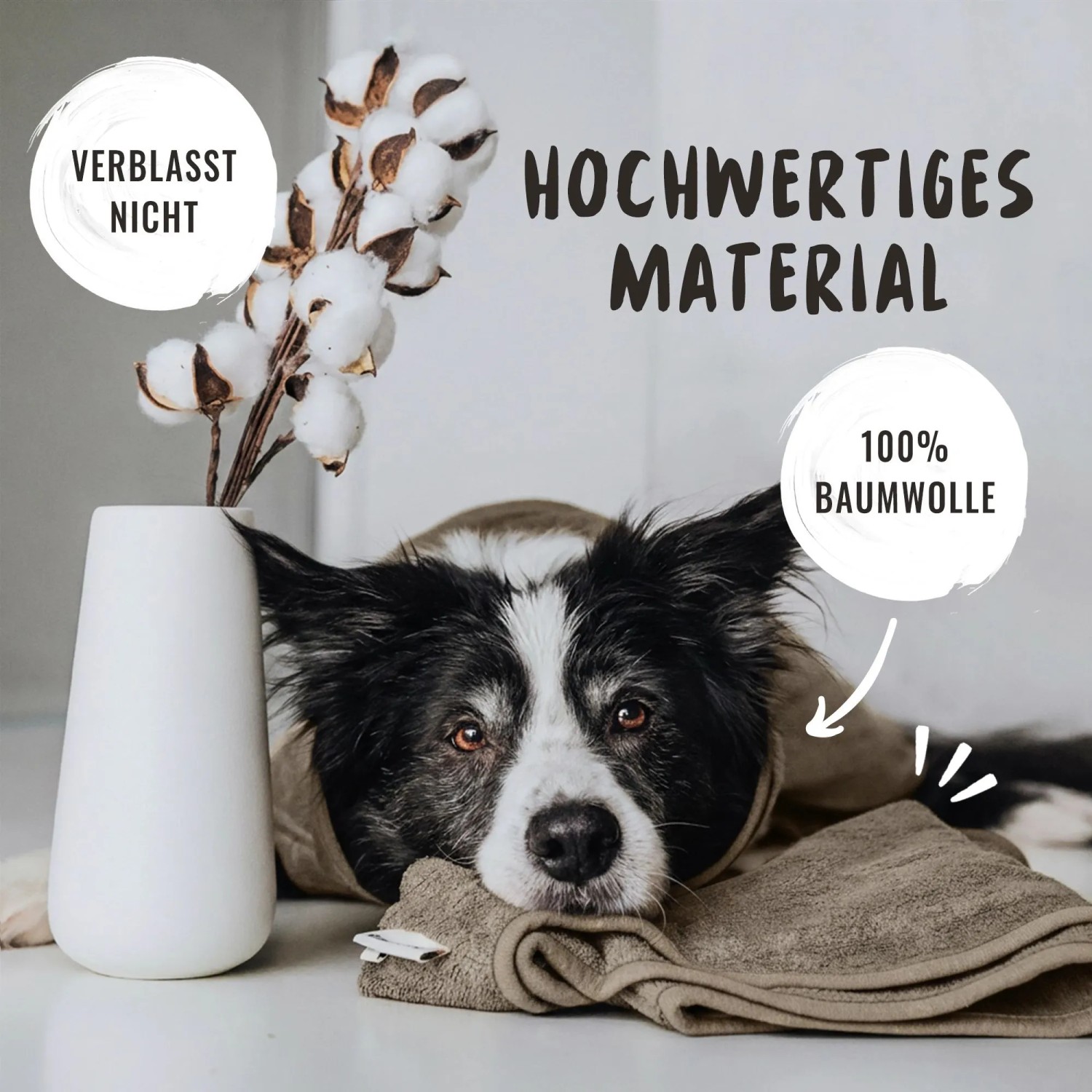 Rudelkönig Hunde Bademantel XL Grau Baumwolle Frottee_3