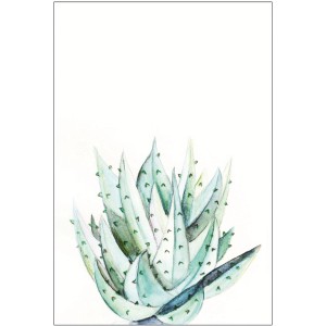 Komar Wandbild Aloe Watercolor, 30x40 cm. Aquarell-Optik einer Aloe Vera Pflanze.