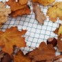 Aquagart Teichnetz 18x12m: Laubnetz zum Schutz vor Laub und Reihern, mit Herbstlaub dekoriert.