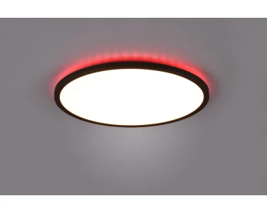 Reality LED-Deckenleuchte Aureo 1-flammig Schwarz Matt Ø 40 cm kaufen bei  OBI