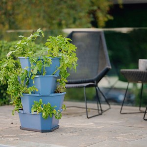 Blaues Gusta Garden Anzuchtsgefäß Paul Potato (56 L) mit Kartoffelpflanzen im vertikalen Garten.