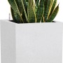 Hohes, weißes Lechuza Canto Stone Pflanzgefäß (30x56cm) mit Pflanzeinsatz und Grünpflanze.