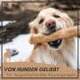 Supravit Kaffeeholz Kauknochen Größe L Kauspielzeug für Hunde_2