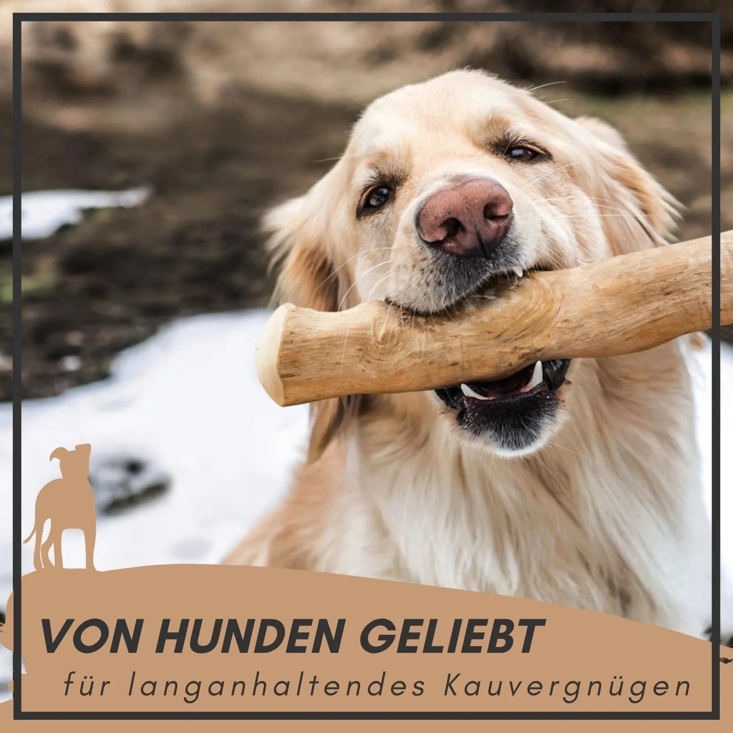 Supravit Kaffeeholz Kauknochen Größe L Kauspielzeug für Hunde_2