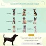 Infografik: Geeignete Hunderassen (Chihuahua, Mops, Beagle etc.) für PawHut Hundebett bis 50kg.