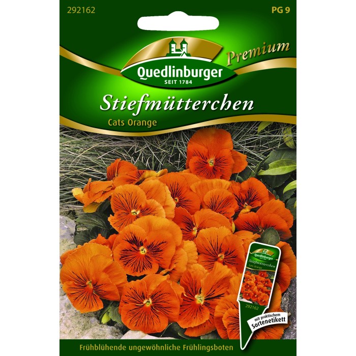Stiefmütterchen kaufen bei OBI