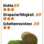 Rollrasen für Spiel & Sport, hohe Strapazierfähigkeit, unkrautfrei, einfache Pflege. Detailanzeige.