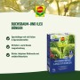 Compo Buchsbaum- & Ilex Langzeit-Dünger, 850g Packung. Fördert dichten, tiefgrünen Wuchs für 6 Monate.