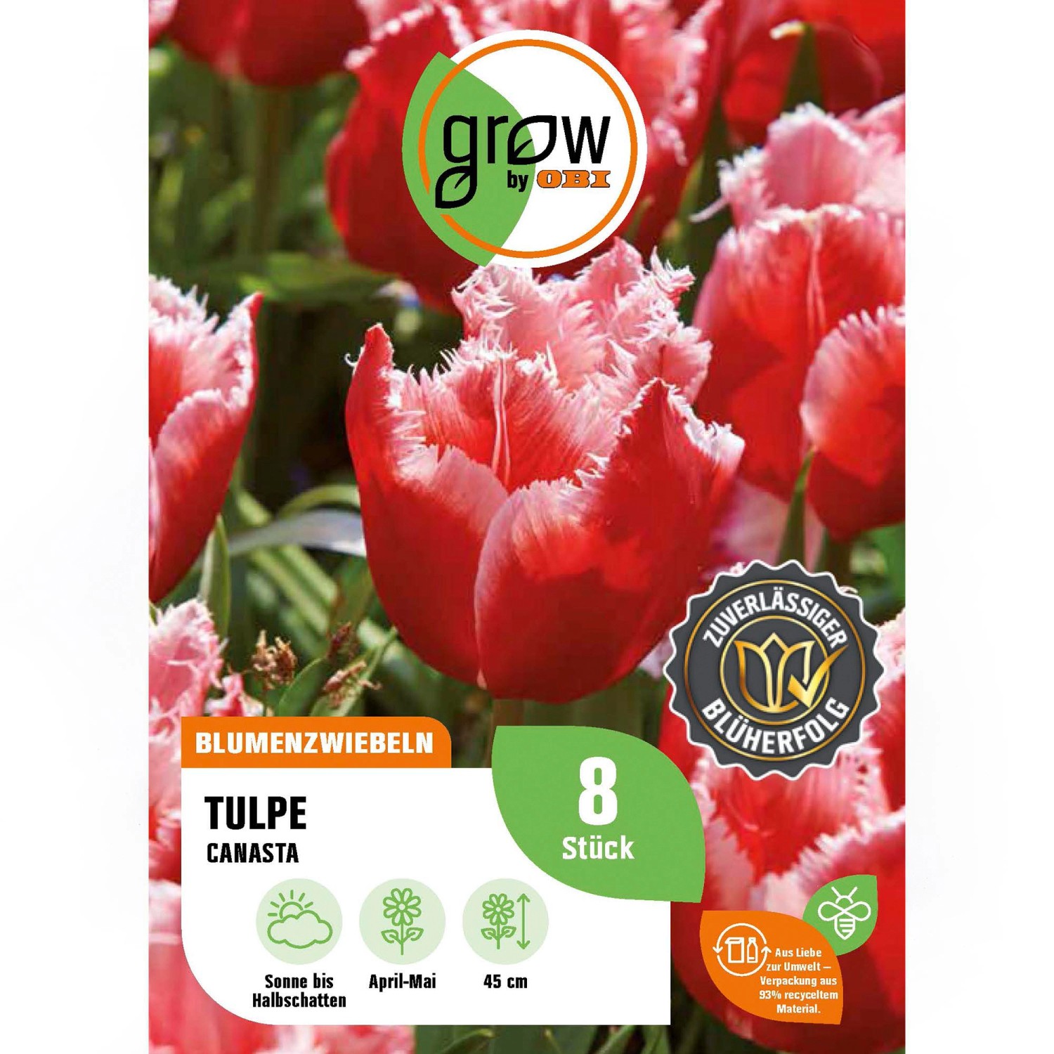 GROW by OBI Tulpe Canasta Rot-Gelb 8 Stück Tulipa fringed Canasta günstig online kaufen