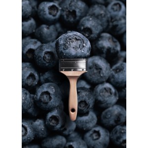 Schöner Wohnen Trendfarbe Blueberry, matte Wandfarbe mit Pinsel vor Blaubeer-Hintergrund.
