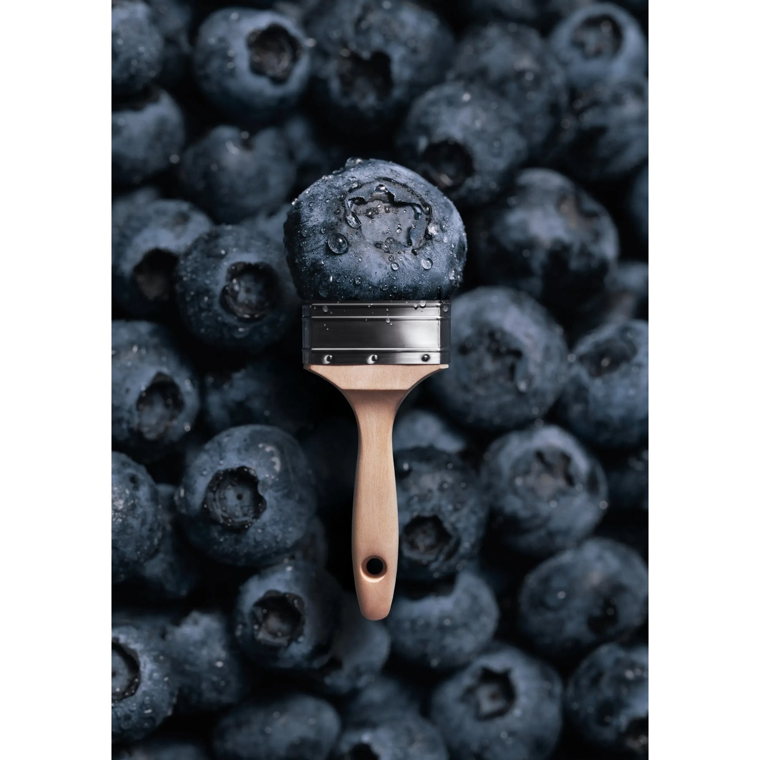 Schöner Wohnen Trendfarbe Blueberry, matte Wandfarbe mit Pinsel vor Blaubeer-Hintergrund.