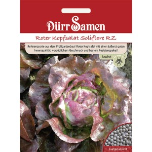 Dürr Samen Roter Kopfsalat Soliflore RZ: Saatgut-Packung mit rotem Kopfsalat und Saatgutanblick.