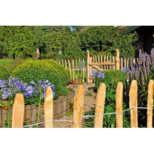 T&J Lattenzaun-Tor Rollo, 60 cm, Holztor für Gartenzaun im Garten.