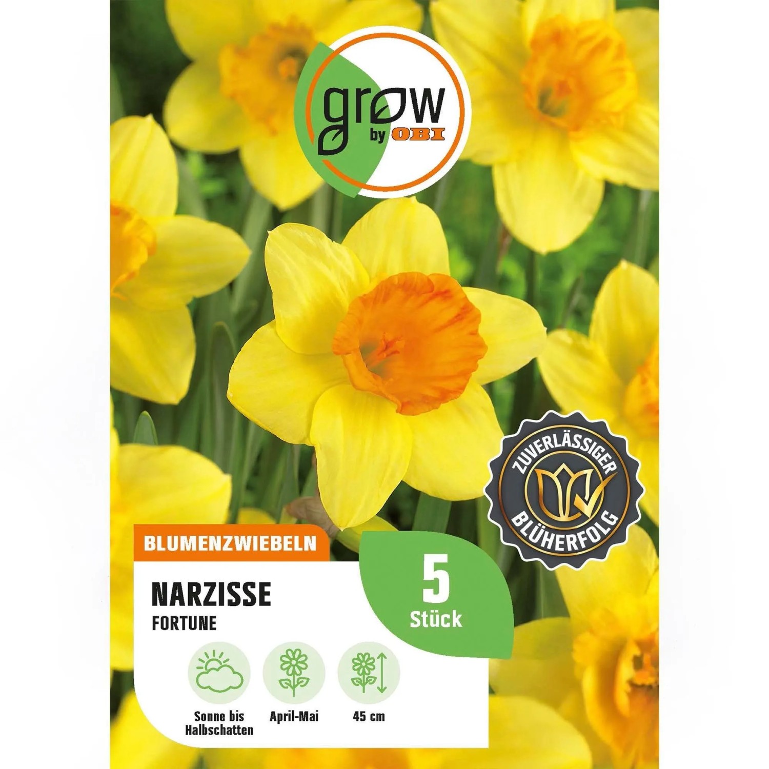 GROW by OBI Narzisse Fortune Gelb 4 Stück Narcissus,arge cupped Fortune