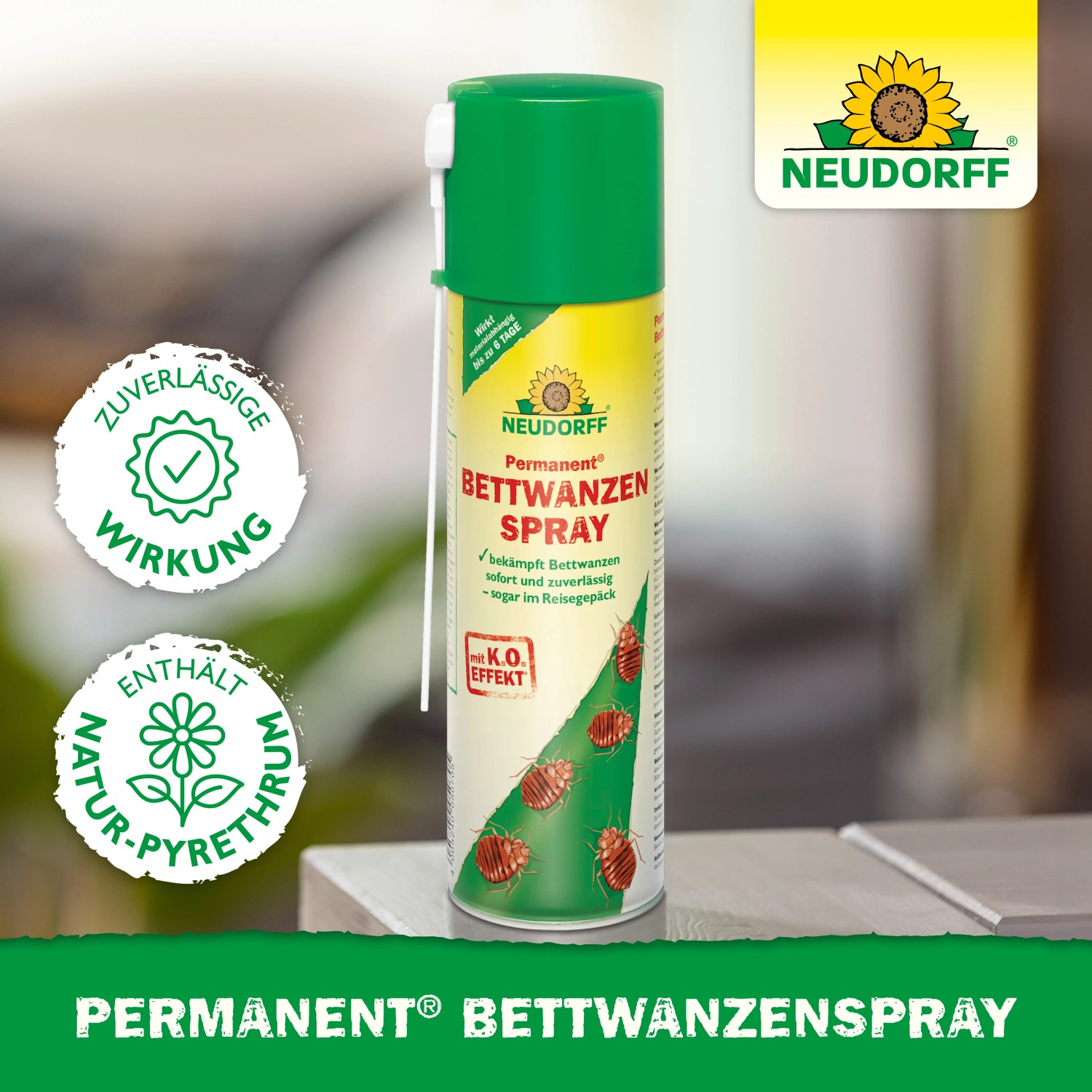 Lass Dich Nicht Von Den Bettwanzen Beißen Neudorff Permanent Bettwanzen-Spray 500 ml kaufen bei OBI