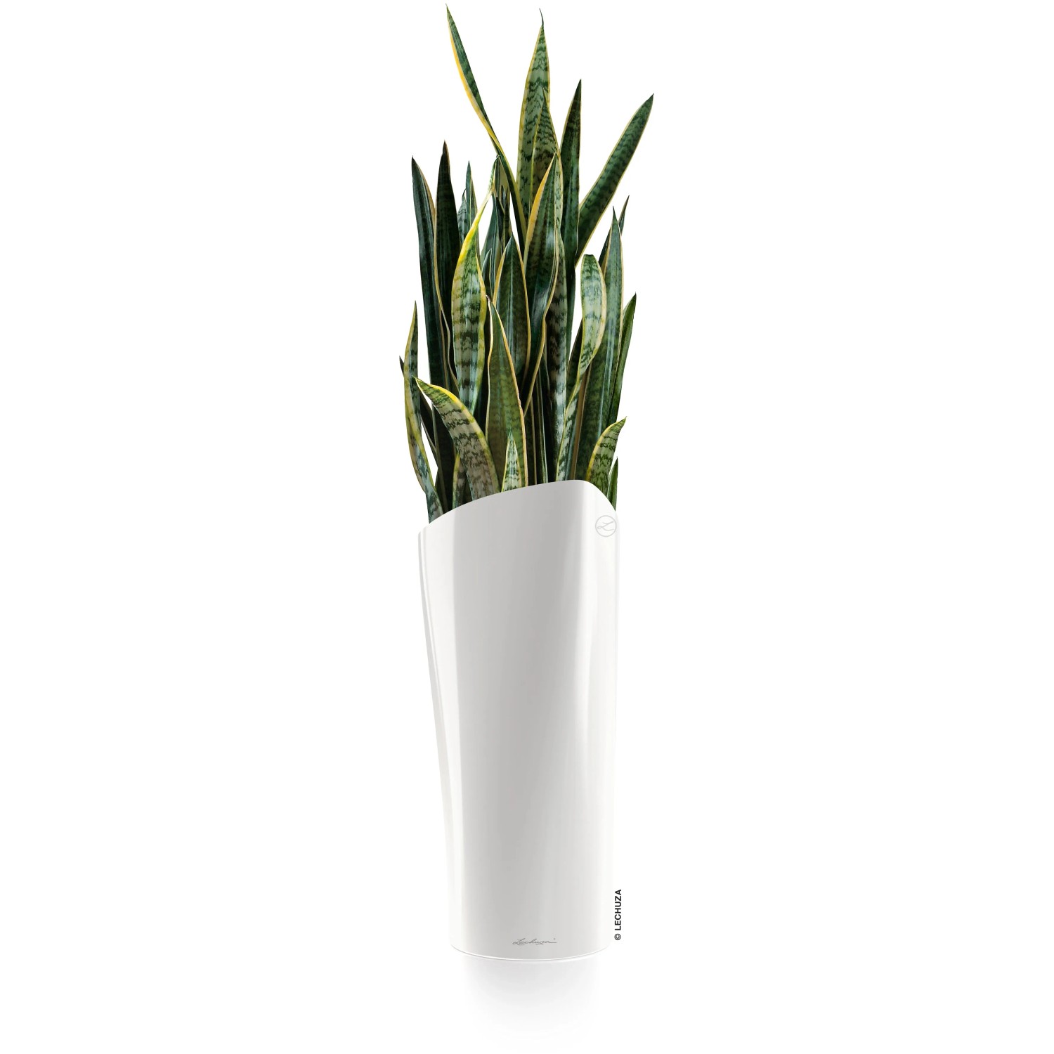 Weiße Lechuza Delta Premium Pflanzsäule, 75cm hoch, mit Grünpflanze.