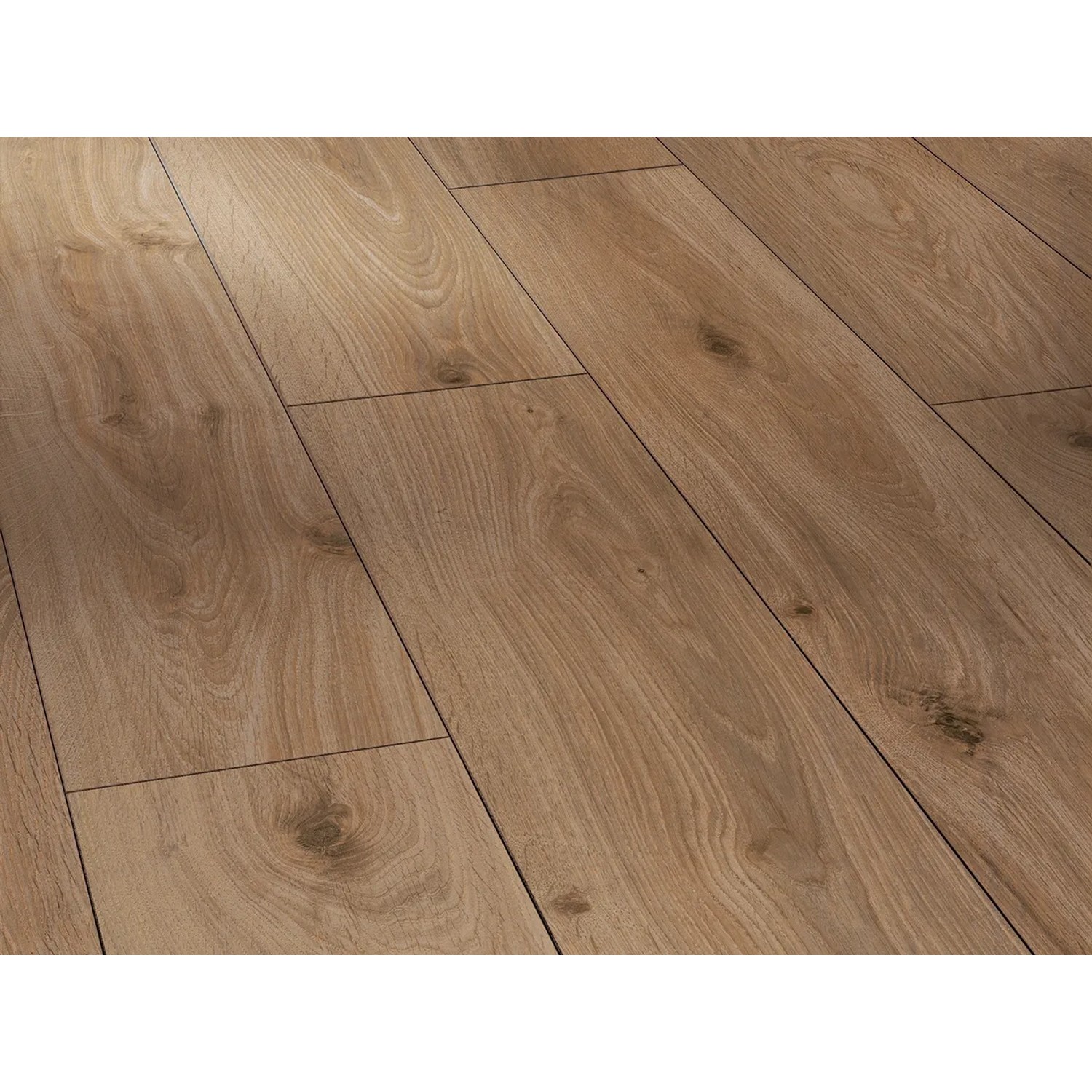 PARADOR Laminat Classic 1050 - Eiche dunkel-gekälkt, Packung, spezielle Trägerplatte, 1285 x 194 mm, Stärke: 8 mm