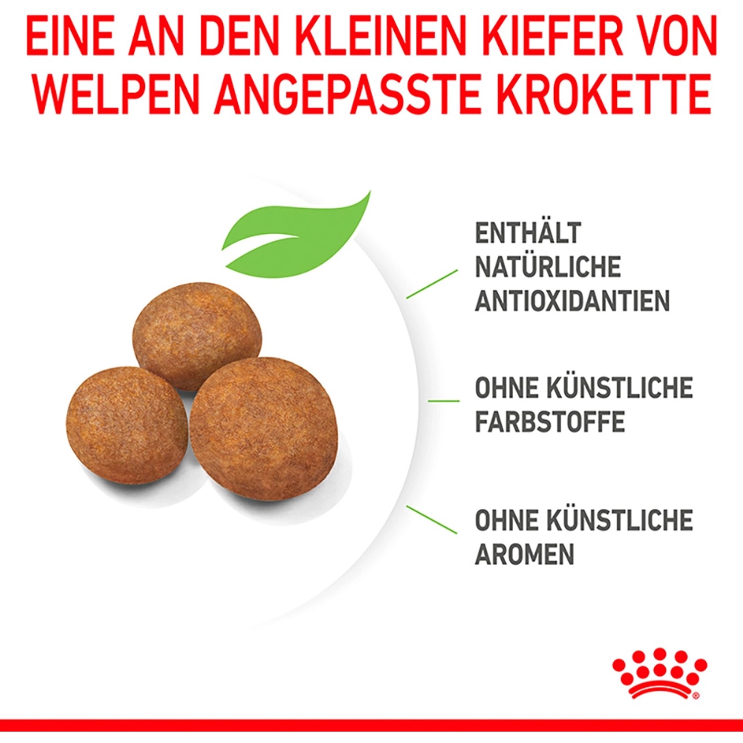 Royal Canin Maxi Puppy Trockenfutter: Kroketten für Welpen großer Rassen, mit Antioxidantien, ohne künstliche Zusätze.