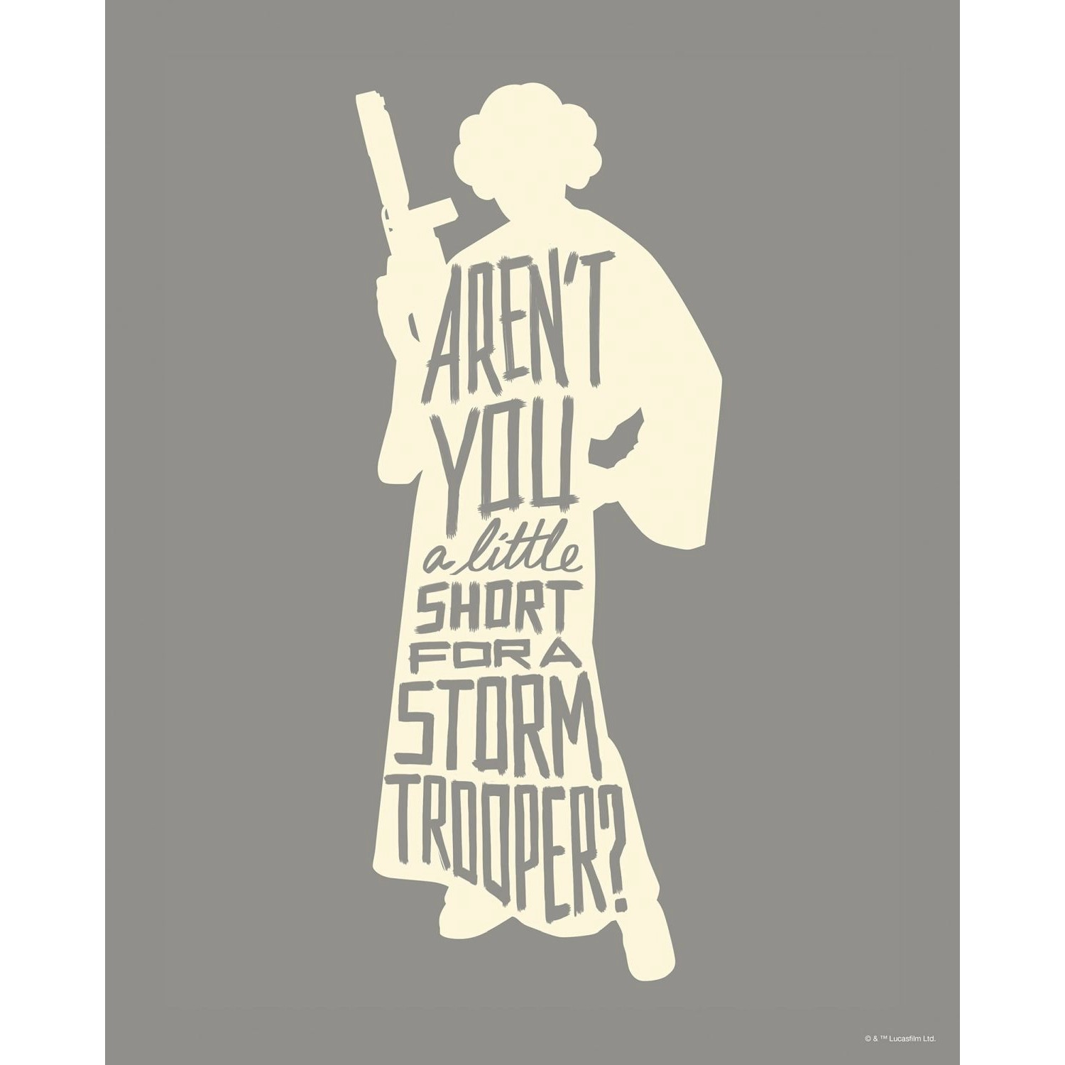 Disney Poster Leia Quotes Grau 40 x 50 cm 612163