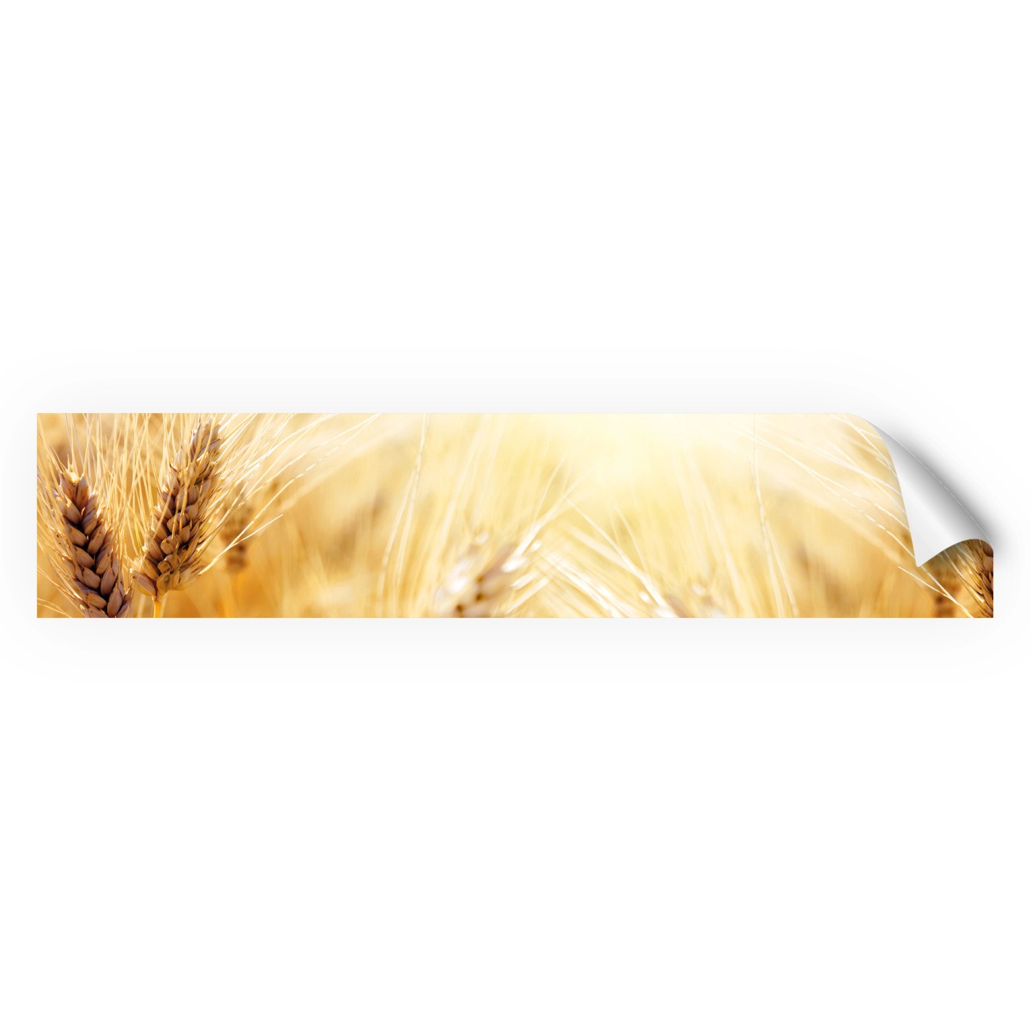 Myspotti Küchenrückwandfolie Korn Selbstklebend 280 cm x 60 cm