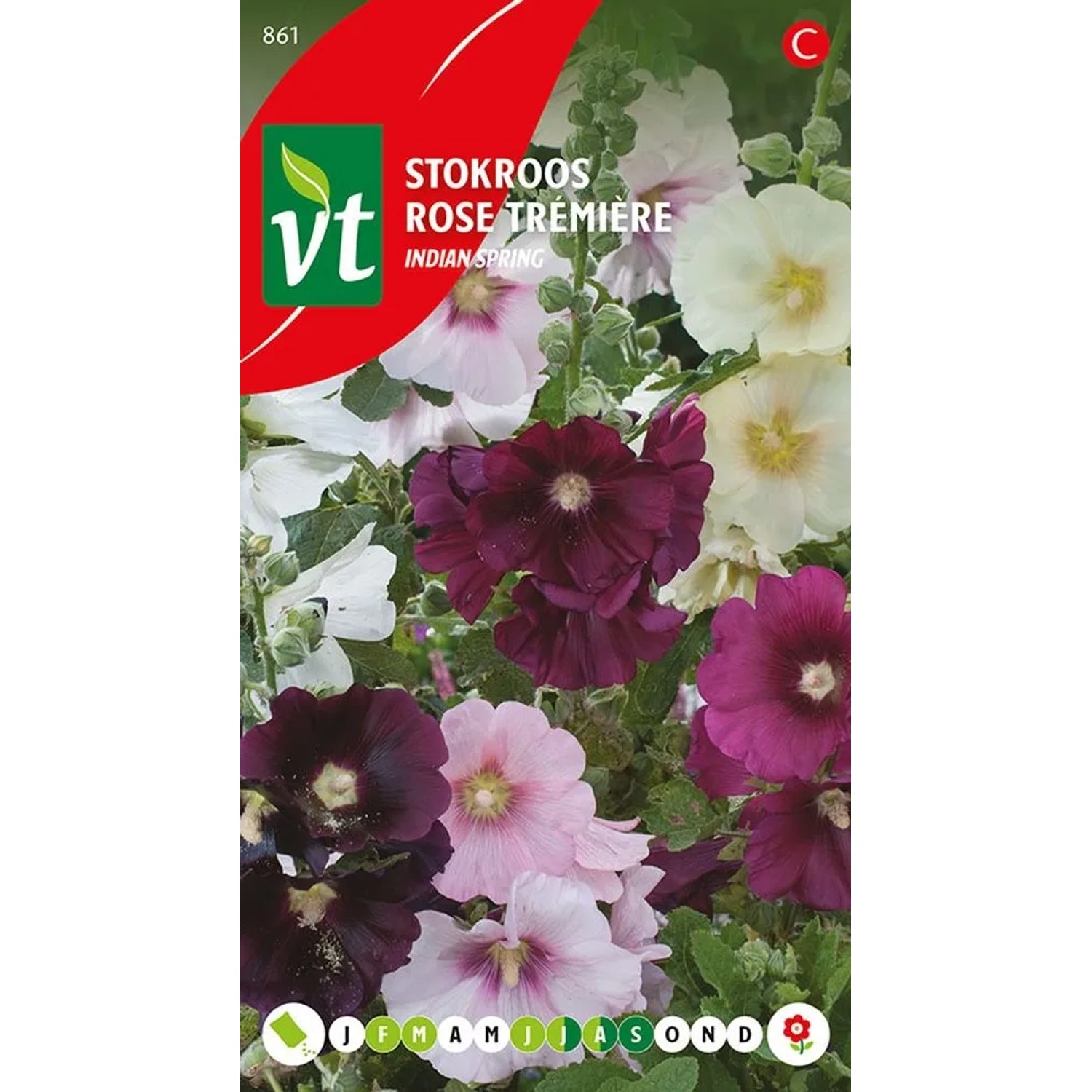 arborix Stockrose 'Aubade' Samen Ca. 0, 2 G Bunte Blüten