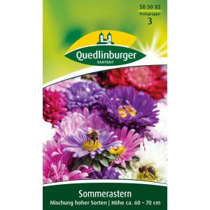 Quedlinburger Sommeraster Mischung hoher Sorten, verschiedene Farben und Blütenformen.