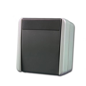 TEM Fontana Schalter 2 Polig Grau 250V10A AP IP44