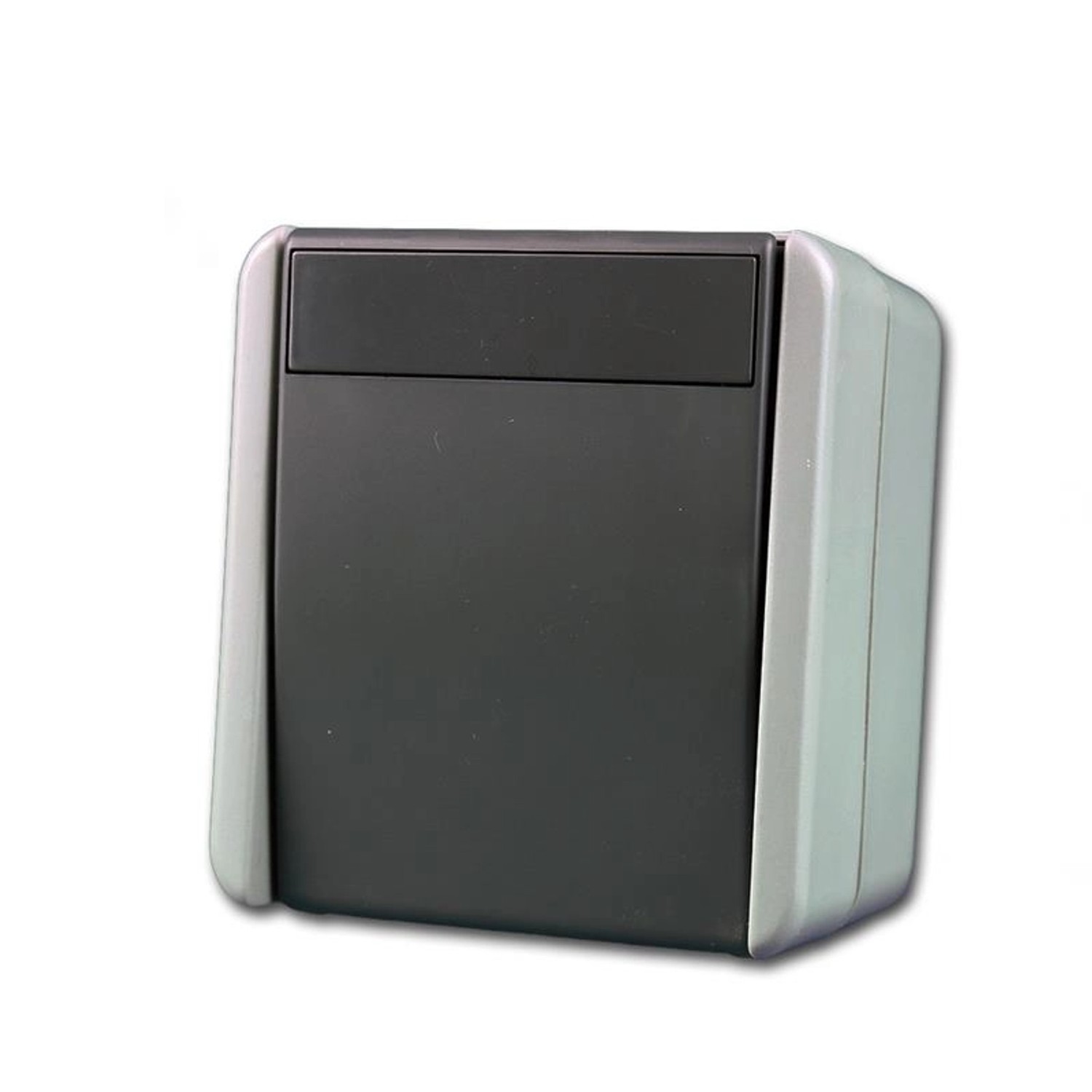 TEM Fontana Schalter 2 Polig Grau 250V10A AP IP44