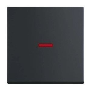 Busch-Jaeger Kontrollwippe Future Linear, schwarz matt mit roter Anzeige