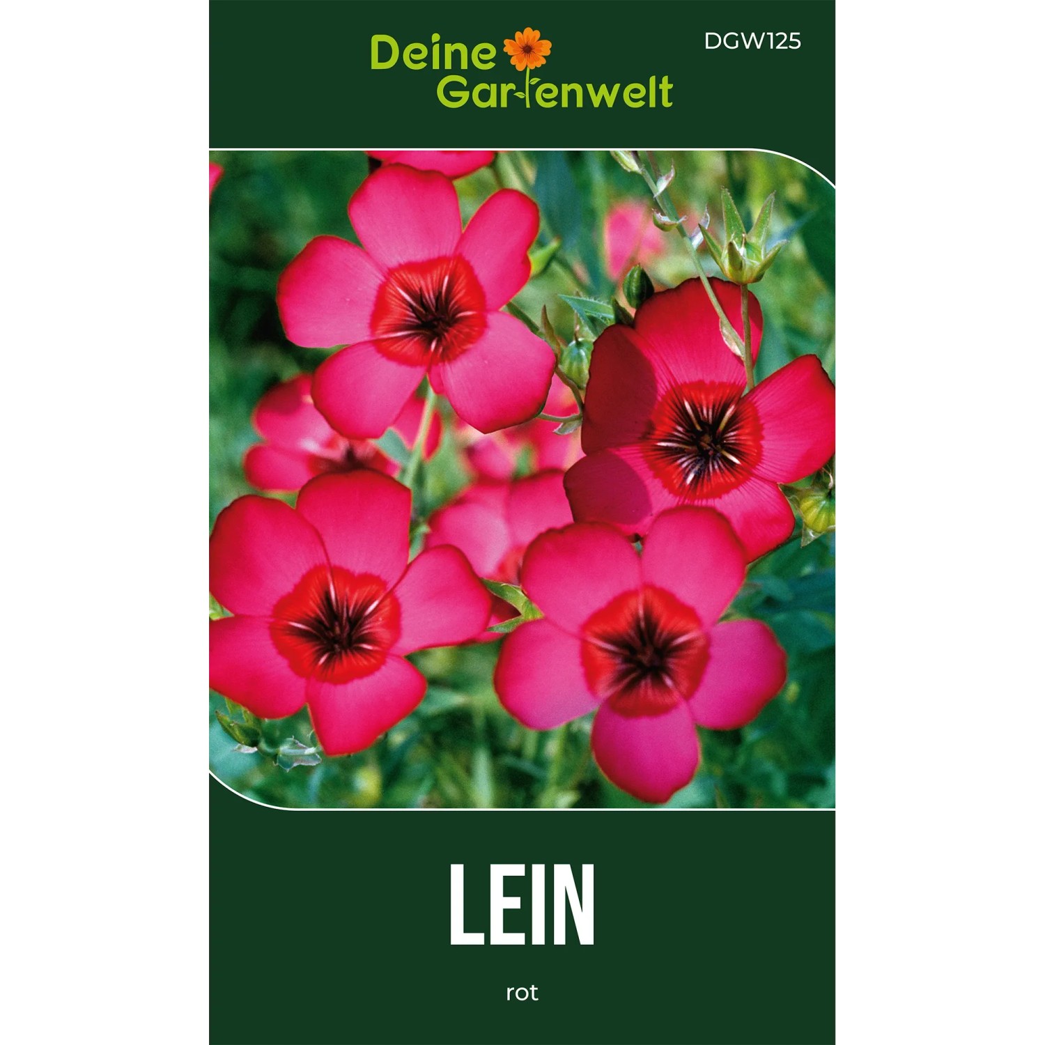 Deine Gartenwelt Lein Rot Samen