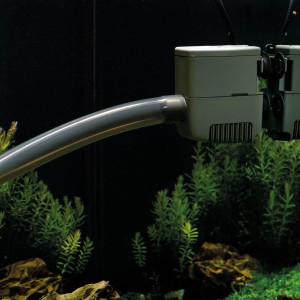Oase Aqua In-Out Set 800 Wasserwechsel-System im Aquarium mit Schlauch und Pumpe.