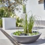 Heissner Solar-Wassergarten Lotusgarden mit Pflanzen und Wasserfontäne als Teichdeko.