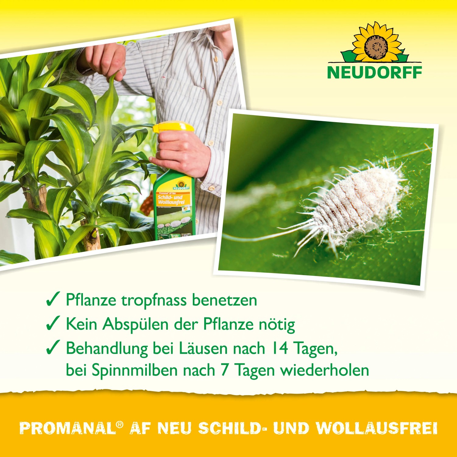 Neudorff Promanal AF Neu: Mittel gegen Spinnmilben, Schild- und Wollläuse an Zierpflanzen.
