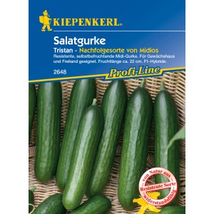 Kiepenkerl Salatgurke Tristan F1-Hybride, kernlose, glatte, grüne Gurken in einem Korb.