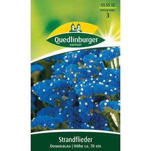 Quedlinburger Strandflieder dunkelblau: Blumensamen für Beet und Trockenfloristik.