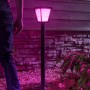 Philips Hue Econic LED-Wegeleuchte in Schwarz mit pinkfarbenem Licht im Garten.